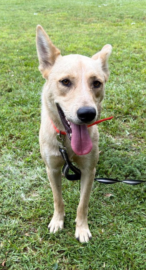 Photo 5 of Wylie