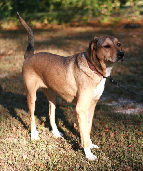 Photo 3 of Nora