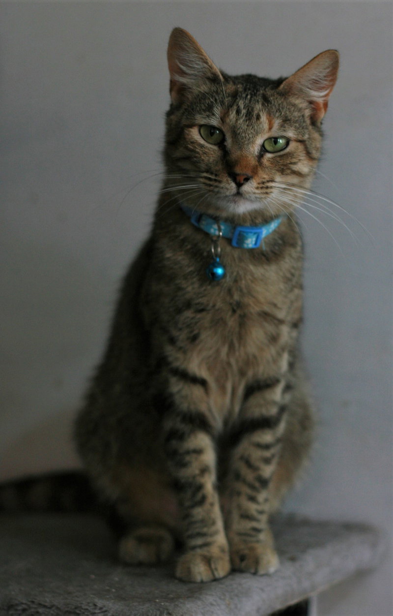 Estella, photo 8