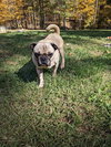Wednesday - Photo 4