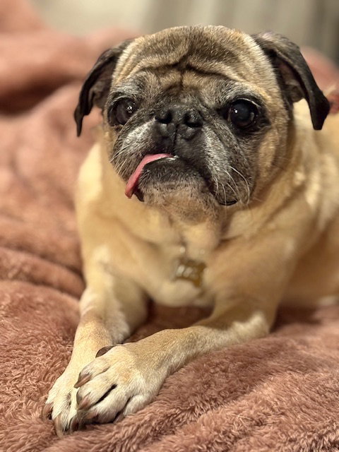 Marley