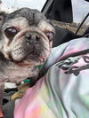Walter - Photo 2