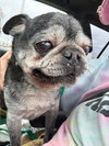 Walter - Photo 4