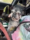 Walter - Photo 5