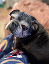 Walter - Photo 3
