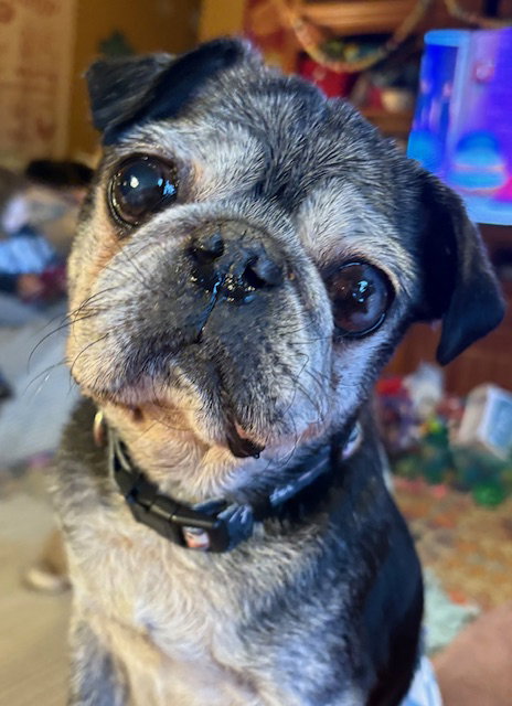 Walter
