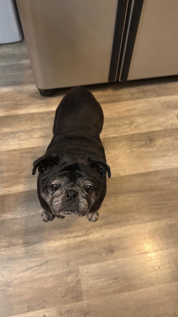 Delilah