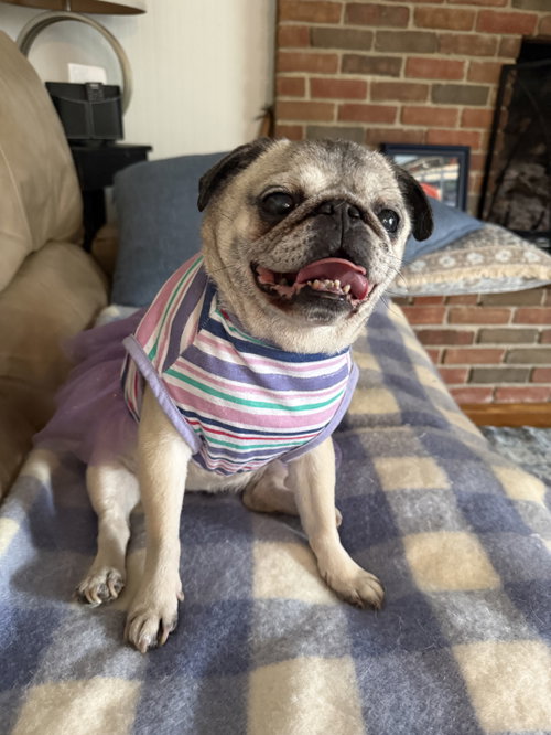 Lucy, photo 2