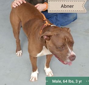 Abner