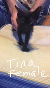 Tina*