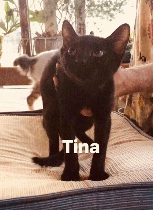 Tina*