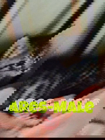 Ares