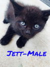 Jett