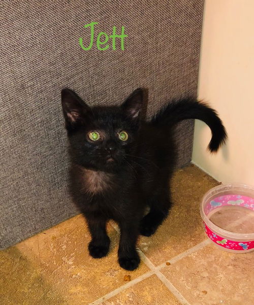 Jett