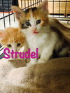 Strudel