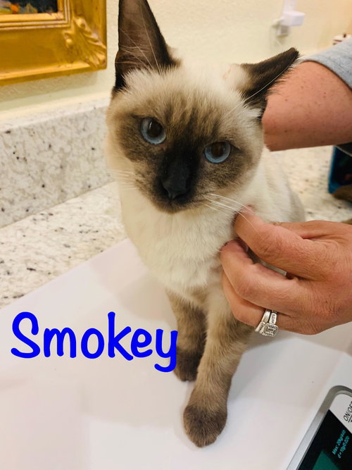 Smokey