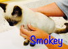 Smokey