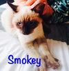Smokey