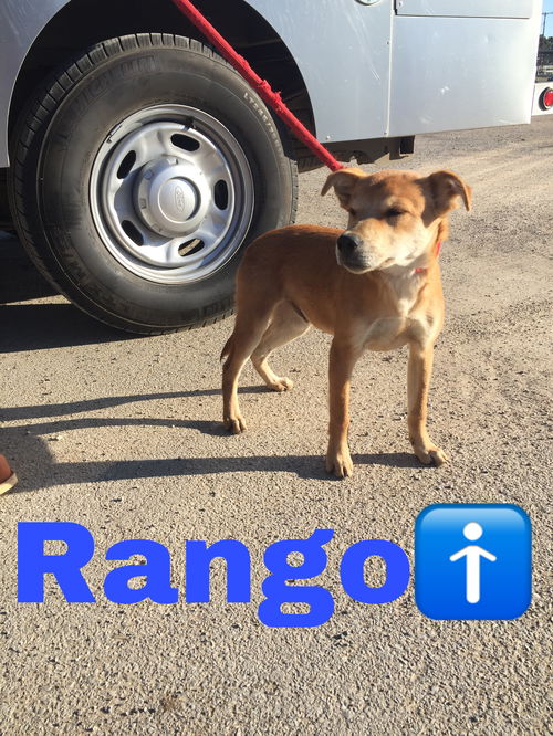 Rango