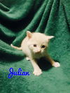 Julian