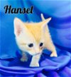 Hansel*