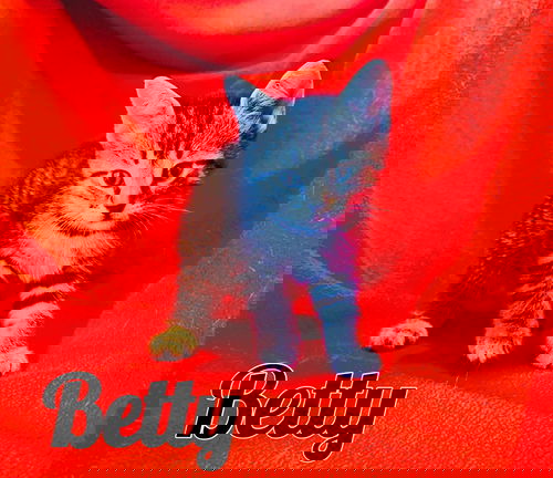 Betty