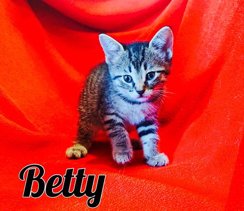 Betty