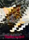 Butterscotch
