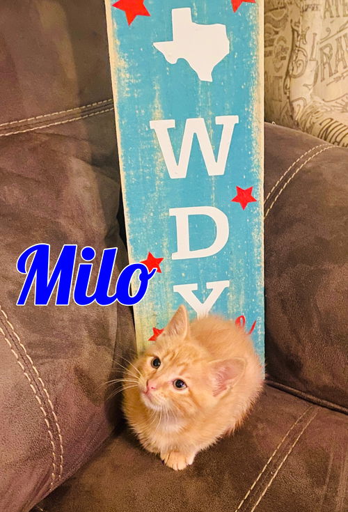 Milo
