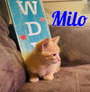 Milo
