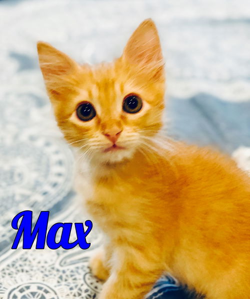 Max