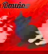 Domino
