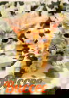 Buccee