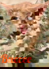 Buccee