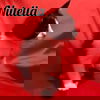 Nutella