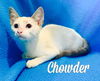 Chowder