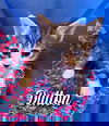Dutton*