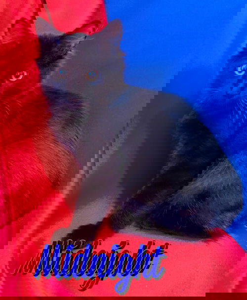 Midnight