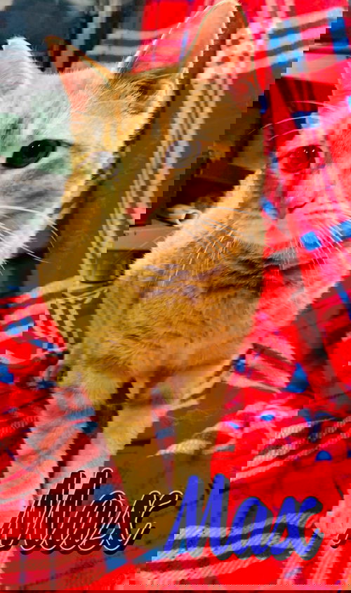 Max