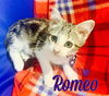 Romeo