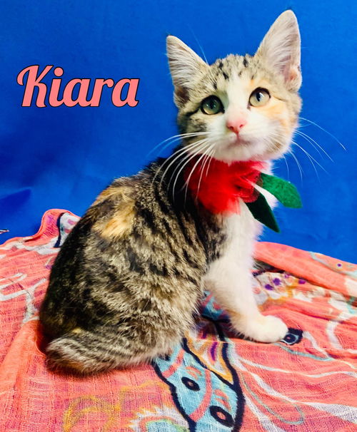 Kiara