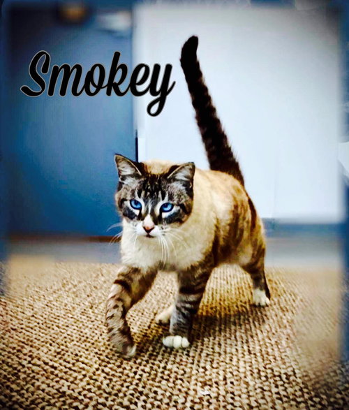 Smokey