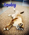 Smokey