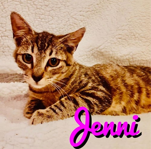 Jenni