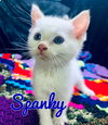 Spanky