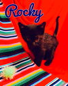 Rocky