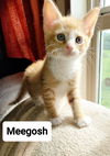 Meegosh