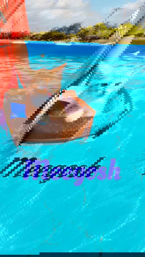 Meegosh