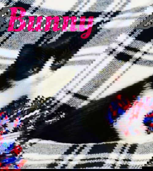 Bunny