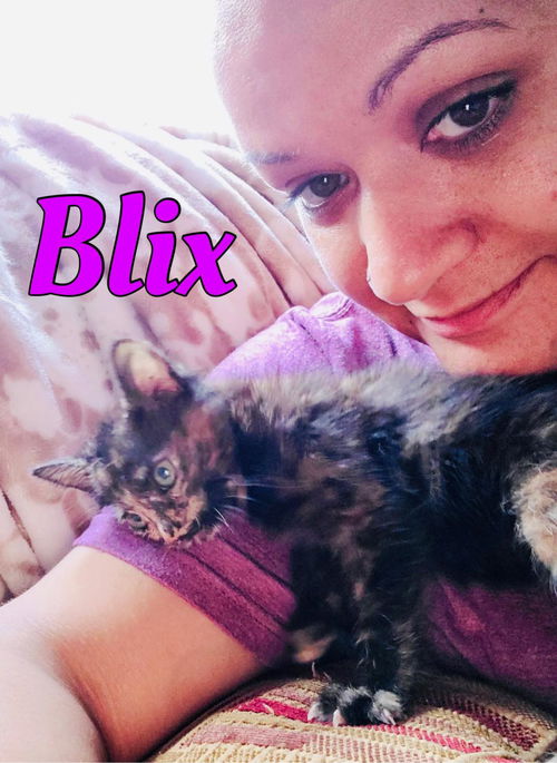 Blix